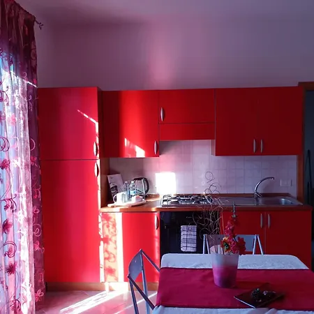 Signorino Eco &