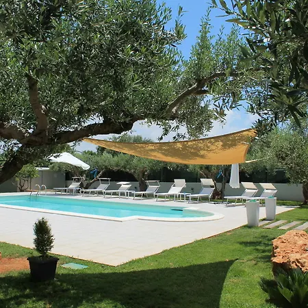 Signorino Eco & 2*