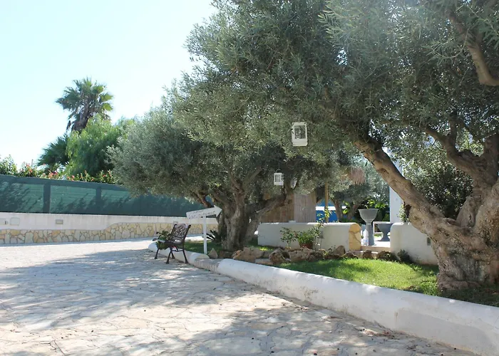 Signorino Eco & Lido Signorino